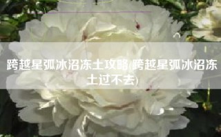 跨越星弧冰沼冻土攻略(跨越星弧冰沼冻土过不去)