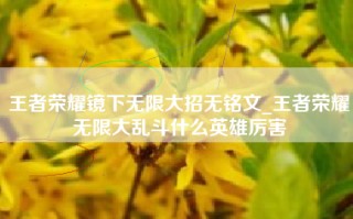 王者荣耀镜下无限大招无铭文_王者荣耀无限大乱斗什么英雄厉害