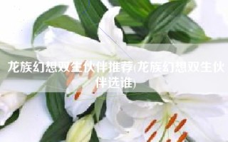 龙族幻想双生伙伴推荐(龙族幻想双生伙伴选谁)