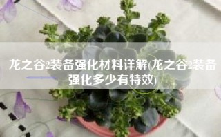龙之谷2装备强化材料详解(龙之谷2装备强化多少有特效)