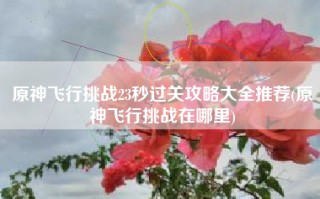原神飞行挑战23秒过关攻略大全推荐(原神飞行挑战在哪里)