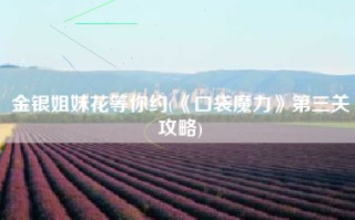 金银姐妹花等你约(《口袋魔力》第三关攻略)