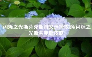闪烁之光斯芬克斯符文选择攻略(闪烁之光斯芬克斯皮肤)