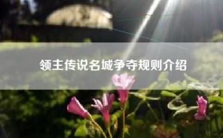 领主传说名城争夺规则介绍