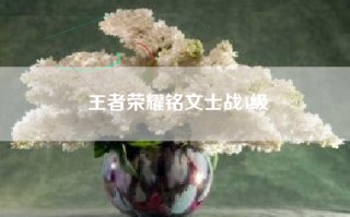 王者荣耀铭文士战4级