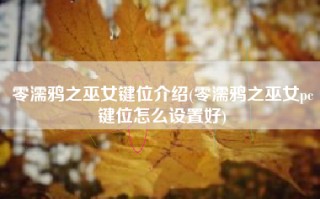 零濡鸦之巫女键位介绍(零濡鸦之巫女pc键位怎么设置好)