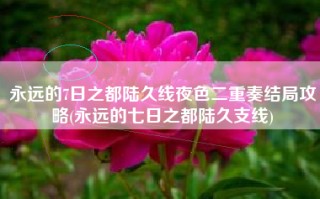 永远的7日之都陆久线夜色二重奏结局攻略(永远的七日之都陆久支线)