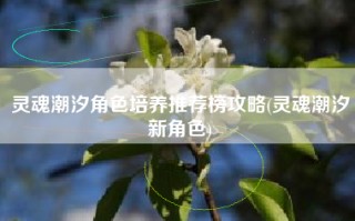 灵魂潮汐角色培养推荐榜攻略(灵魂潮汐新角色)