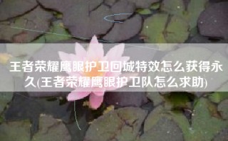 王者荣耀鹰眼护卫回城特效怎么获得永久(王者荣耀鹰眼护卫队怎么求助)