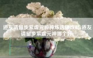 道友请留步紫虚元神神炼选择攻略(道友请留步紫虚元神哪个好)