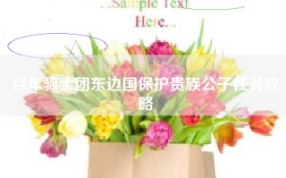 百年骑士团东边国保护贵族公子任务攻略