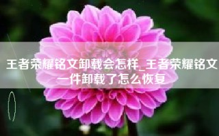 王者荣耀铭文卸载会怎样_王者荣耀铭文一件卸载了怎么恢复