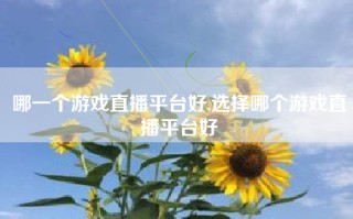 哪一个游戏直播平台好,选择哪个游戏直播平台好