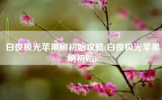 白夜极光苹果刷初始攻略(白夜极光苹果刷初始)