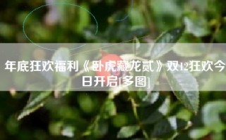 年底狂欢福利《卧虎藏龙贰》双12狂欢今日开启[多图]
