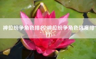 神位纷争角色排名(神位纷争角色强度排行)