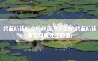 碧蓝航线航空母舰霞飞怎么样(碧蓝航线航空母舰处于隐匿)