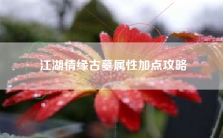 江湖情缘古墓属性加点攻略