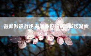 霜娜做饭游戏,有哪些好玩的3d做饭游戏