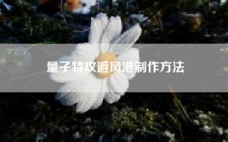 量子特攻避风港制作方法
