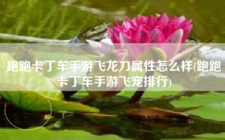 跑跑卡丁车手游飞龙刀属性怎么样(跑跑卡丁车手游飞宠排行)