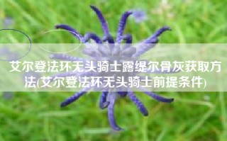 艾尔登法环无头骑士露缇尔骨灰获取方法(艾尔登法环无头骑士前提条件)