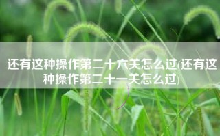还有这种操作第二十六关怎么过(还有这种操作第二十一关怎么过)