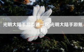 光明大陆手游互通一区,光明大陆手游氪吗