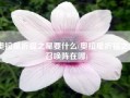 奥拉星祈福之星要什么(奥拉星祈福之星召唤阵在哪)