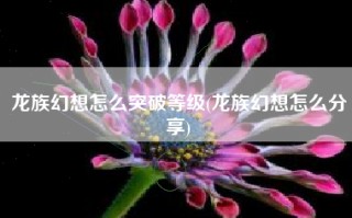 龙族幻想怎么突破等级(龙族幻想怎么分享)