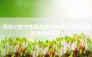 龙族幻想沙滩惊魂活动如何玩(龙族幻想沙滩惊魂位置)