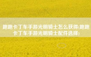跑跑卡丁车手游光明骑士怎么获得(跑跑卡丁车手游光明骑士配件选择)