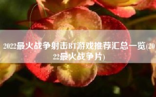 2022最火战争射击BT游戏推荐汇总一览(2022最火战争片)