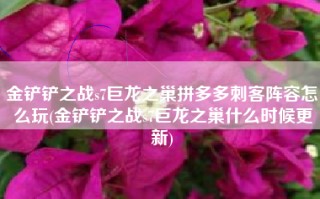 金铲铲之战s7巨龙之巢拼多多刺客阵容怎么玩(金铲铲之战s7巨龙之巢什么时候更新)