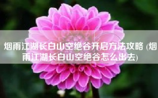 烟雨江湖长白山空绝谷开启方法攻略 (烟雨江湖长白山空绝谷怎么出去)