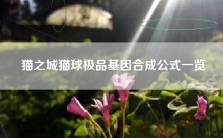 猫之城猫球极品基因合成公式一览