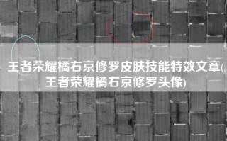 王者荣耀橘右京修罗皮肤技能特效文章(王者荣耀橘右京修罗头像)