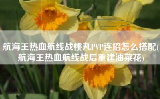 航海王热血航线战桃丸PVP连招怎么搭配(航海王热血航线战后重建油菜花)