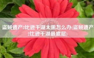 盗贼遗产2比逊干湖太黑怎么办(盗贼遗产2比逊干湖最底层)