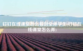 钉钉在线课堂怎么看到全体学生(钉钉在线课堂怎么弄)