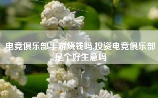 电竞俱乐部手游烧钱吗,投资电竞俱乐部是个好生意吗