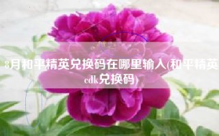 8月和平精英兑换码在哪里输入(和平精英cdk兑换码)