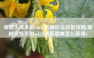 穿越火线手游mk47机械纪元获取攻略(穿越火线手游mk23湛蓝裂痕怎么获得)