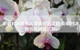 街霸对决感电眩晕流玩法攻略(街霸对决哪些有眩晕沉默)