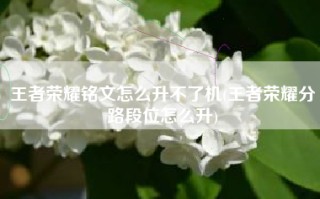 王者荣耀铭文怎么升不了机(王者荣耀分路段位怎么升)