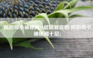 阴阳师小袖秘闻10层萌新攻略(阴阳师小袖秘闻十层)