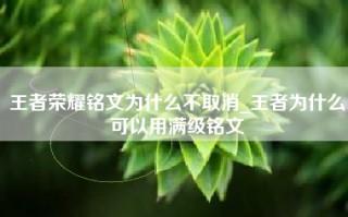 王者荣耀铭文为什么不取消_王者为什么可以用满级铭文