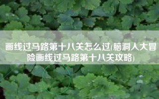 画线过马路第十八关怎么过(脑洞人大冒险画线过马路第十八关攻略)
