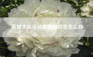 英雄大乱斗达摩推图效率怎么样