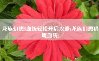 龙族幻想S血统轻松开启攻略(龙族幻想猎鹰血统)
